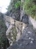 PICTURES/Machu Picchu - Inca Bridge/t_IMG_7591.JPG